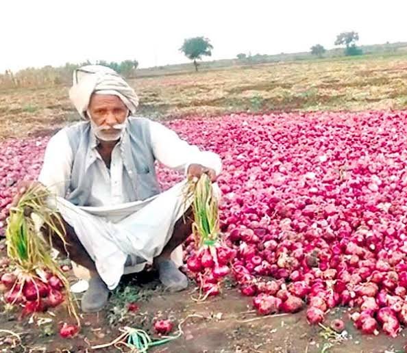 Onion Price: अभी तो नहीं रुलाएगा प्‍याज, कीमत पर लगाम लगाने के ल‍िए सरकार ने बनाया धांसू प्‍लान